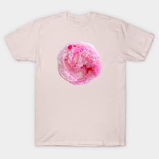 peach soda T-Shirt